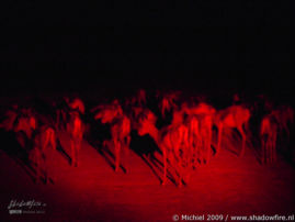 impala, night drive, Etosha NP, Namibia, Africa 2011,travel, photography