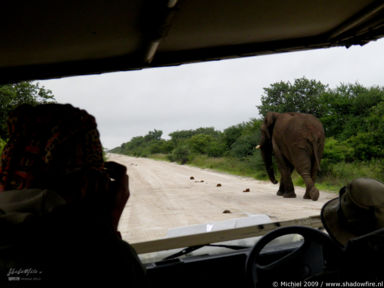 elephant, Big Five, Etosha NP, Namibia, Africa 2011,travel, photography,favorites