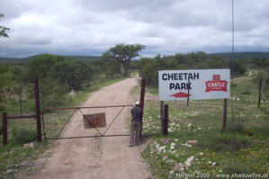 Cheetah Park, Namibia, Africa 2011,travel, photography