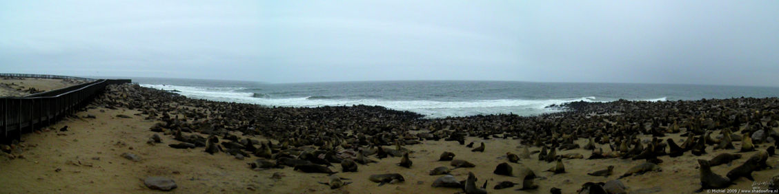 seal panorama seal, Cape Cross, Skeleton Coast, Namibia, Africa 2011,travel, photography,favorites, panoramas
