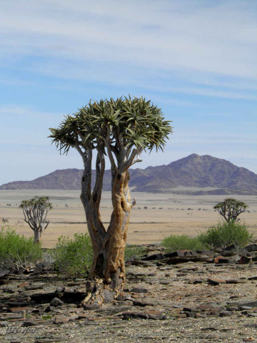Kriess se Rus, Naukluft Park, Namib Desert, Namibia, Africa 2011,travel, photography,favorites