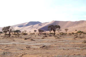 The Sand Dune Sea, Namib Desert, Namibia, Africa 2011,travel, photography,favorites