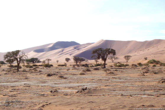 The Sand Dune Sea, Namib Desert, Namibia, Africa 2011,travel, photography,favorites