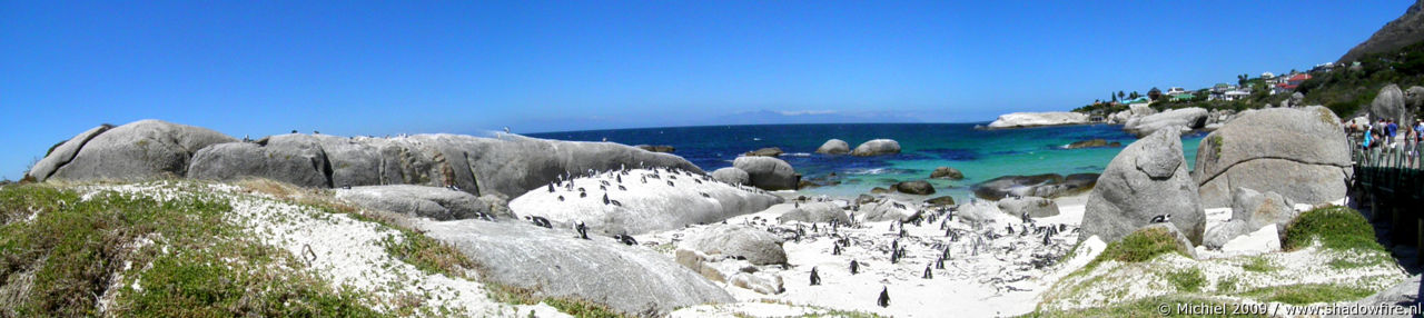penguin panorama penguin, Penguin Colony, The Boulders, Cape Peninsula, South Africa, Africa 2011,travel, photography,favorites, panoramas