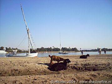 Nile river, Luxor, Egypt 2004,travel, photography,favorites