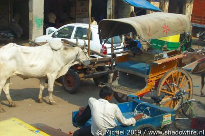 Delhi, India, India 2009,travel, photography