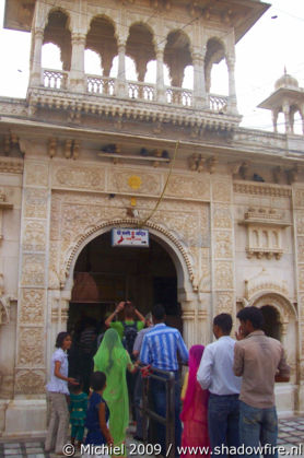 Karni Mata rat temple, Deshnok, Rajasthan, India, India 2009,travel, photography