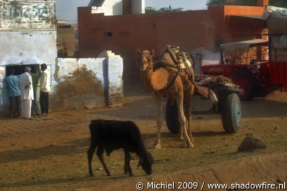 Bikaner, Rajasthan, India, India 2009,travel, photography