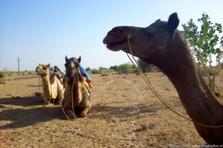 Thar Desert, Rajasthan, India, India 2009,travel, photography