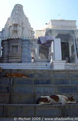 Udaipur, Rajasthan, India, India 2009,travel, photography,favorites