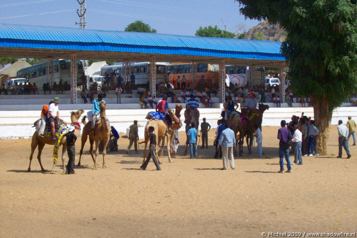 Camel Fair, Pushkar, Rajasthan, India, India 2009,travel, photography