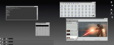 Linux Enlightenment DR16 Xinerama desktops,screenshots,favorites